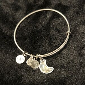 Alex and Ani 14 assortment Silver Charm Bangle Bracelets